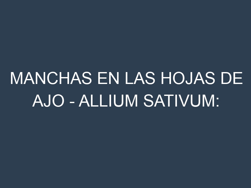 Manchas en las hojas de Ajo – Allium sativum: Identificación, Causas y Estrategias de Control Efectivo