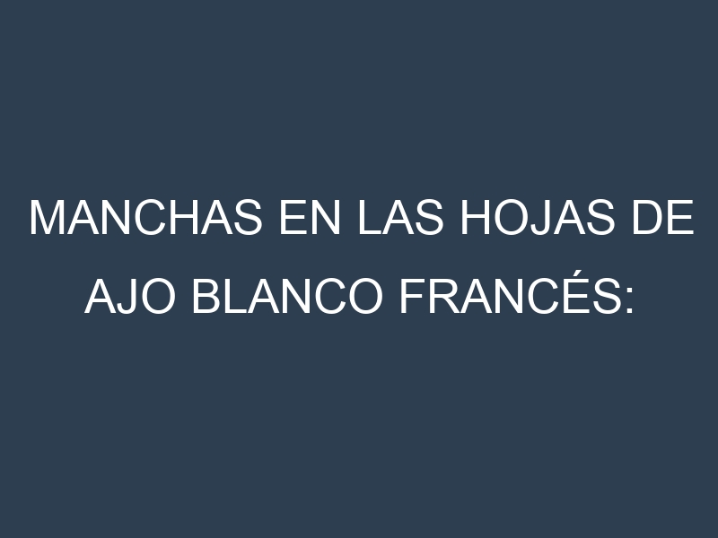 Manchas en las hojas de Ajo blanco francés: Identificación, Causas y Estrategias de Control Efectivo