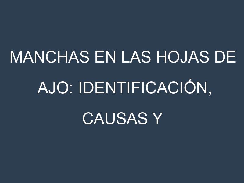 Manchas en las hojas de Ajo: Identificación, Causas y Estrategias de Control Efectivo