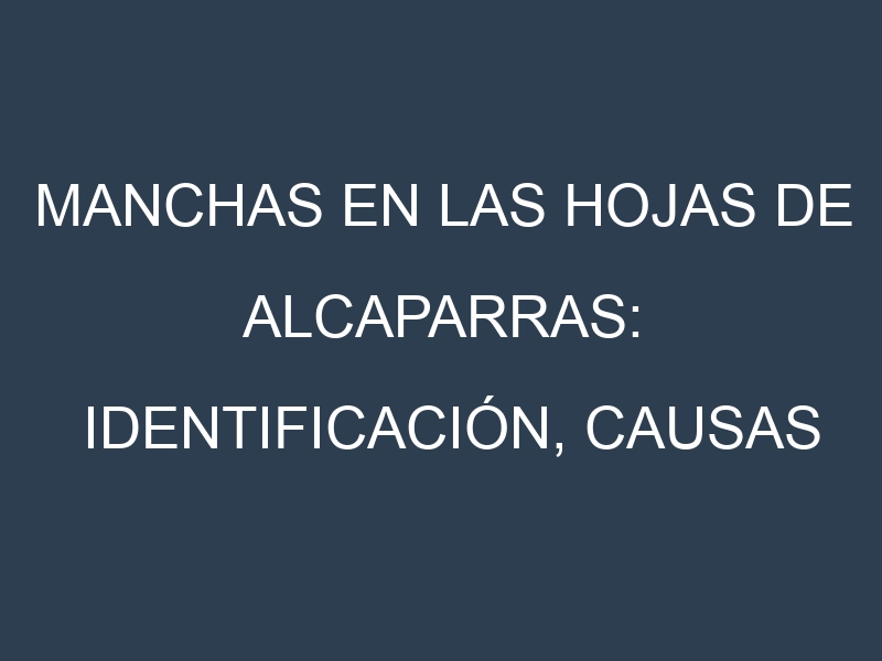 Manchas en las hojas de Alcaparras: Identificación, Causas y Estrategias de Control Efectivo