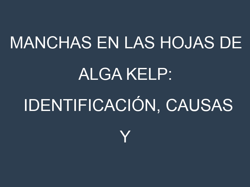 Manchas en las hojas de Alga kelp: Identificación, Causas y Estrategias de Control Efectivo