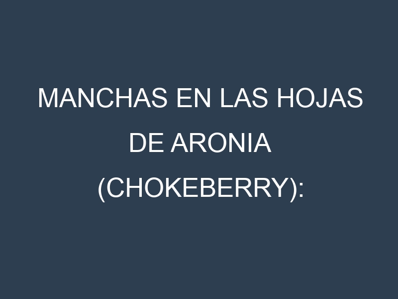 Manchas en las hojas de Aronia (chokeberry): Identificación, Causas y Estrategias de Control Efectivo