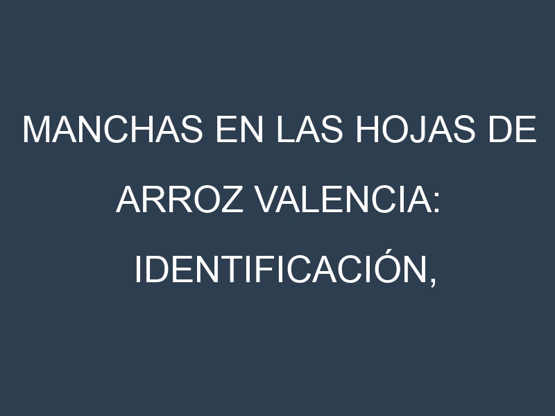 Manchas en las hojas de Arroz valencia: Identificación, Causas y Estrategias de Control Efectivo