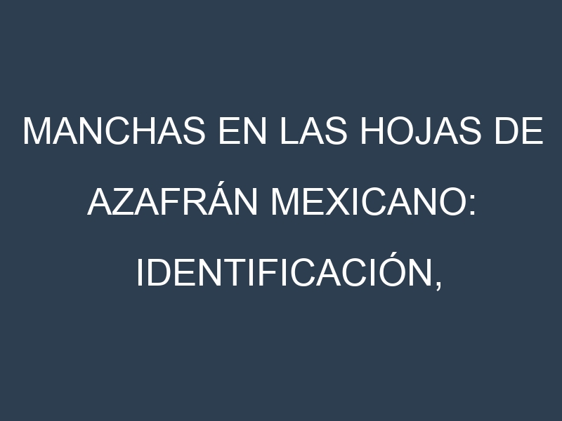 Manchas en las hojas de Azafrán mexicano: Identificación, Causas y Estrategias de Control Efectivo