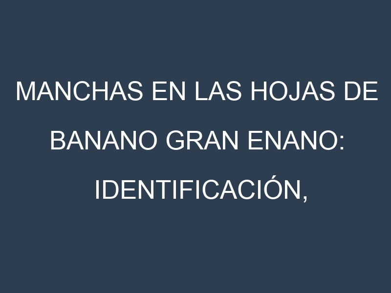 Manchas en las hojas de Banano Gran Enano: Identificación, Causas y Estrategias de Control Efectivo