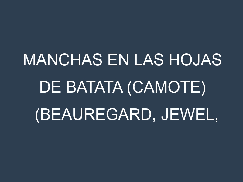 Manchas en las hojas de Batata (camote) (Beauregard, Jewel, Covington, O’Henry, Georgia Jet): Identificación, Causas y Estrategias de Control Efectivo