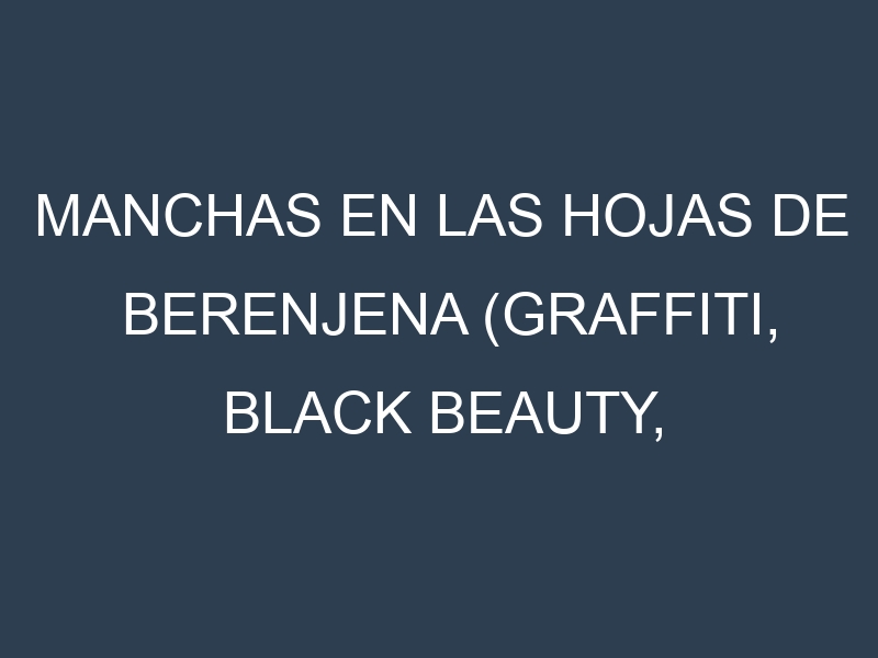 Manchas en las hojas de Berenjena (Graffiti, Black Beauty, Rosa Bianca, Ichiban, Ping Tung): Identificación, Causas y Estrategias de Control Efectivo