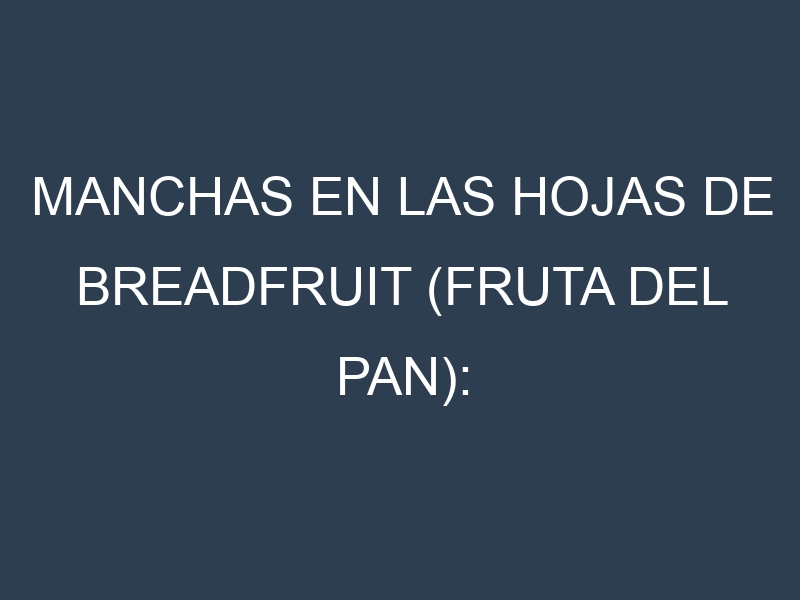 Manchas en las hojas de Breadfruit (fruta del pan): Identificación, Causas y Estrategias de Control Efectivo