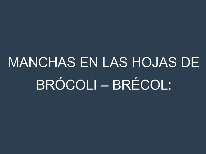 Manchas en las hojas de Brócoli – Brécol: Identificación, Causas y Estrategias de Control Efectivo