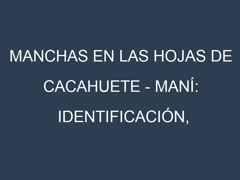 Manchas en las hojas de Cacahuete – Maní: Identificación, Causas y Estrategias de Control Efectivo