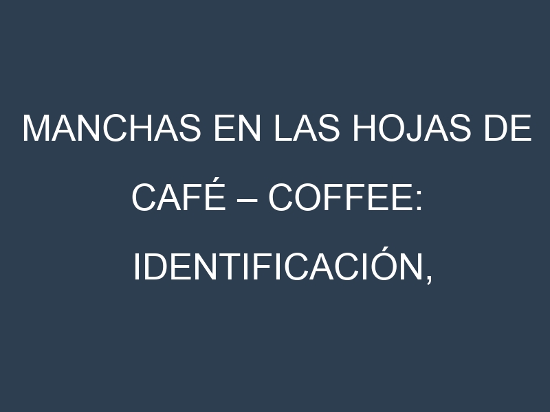 Manchas en las hojas de Café – Coffee: Identificación, Causas y Estrategias de Control Efectivo