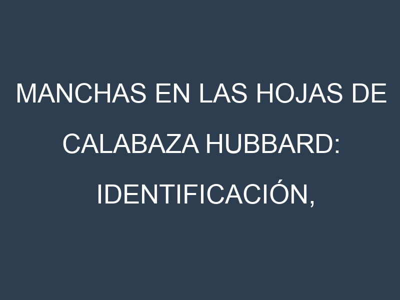 Manchas en las hojas de Calabaza hubbard: Identificación, Causas y Estrategias de Control Efectivo