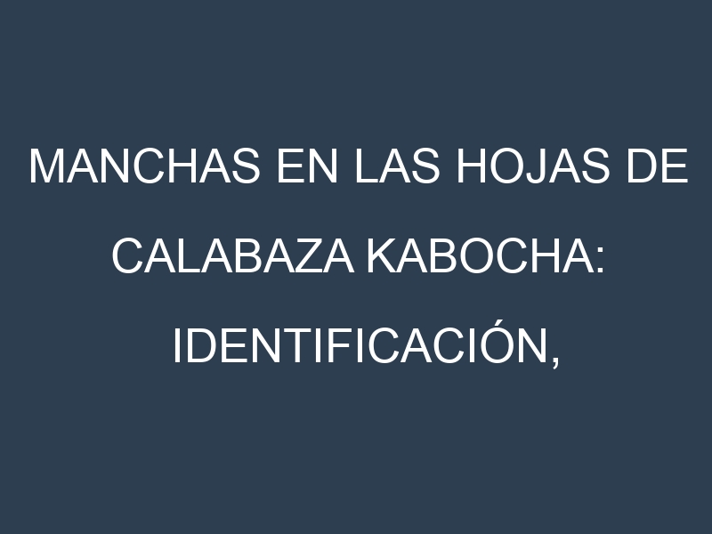 Manchas en las hojas de Calabaza kabocha: Identificación, Causas y Estrategias de Control Efectivo