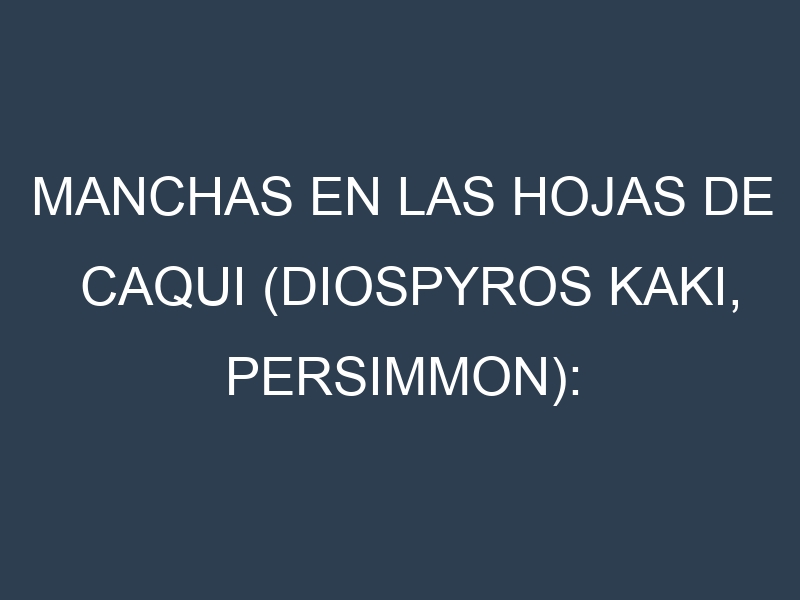 Manchas en las hojas de Caqui (Diospyros kaki, persimmon): Identificación, Causas y Estrategias de Control Efectivo
