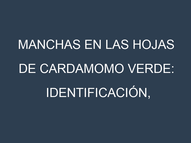 Manchas en las hojas de Cardamomo verde: Identificación, Causas y Estrategias de Control Efectivo