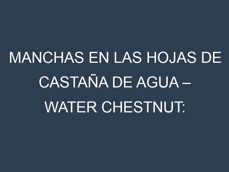 Manchas en las hojas de Castaña de agua – Water chestnut: Identificación, Causas y Estrategias de Control Efectivo