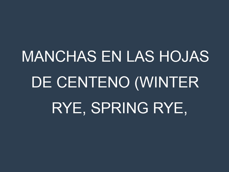 Manchas en las hojas de Centeno (Winter Rye, Spring Rye, Danko, Hazlet, Prima): Identificación, Causas y Estrategias de Control Efectivo