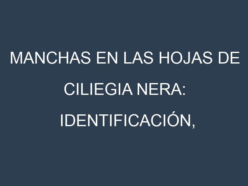 Manchas en las hojas de Ciliegia nera: Identificación, Causas y Estrategias de Control Efectivo