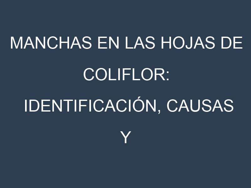 Manchas en las hojas de Coliflor: Identificación, Causas y Estrategias de Control Efectivo