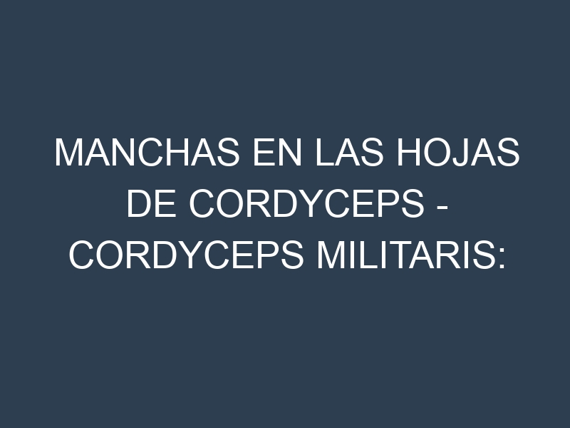 Manchas en las hojas de Cordyceps – Cordyceps militaris: Identificación, Causas y Estrategias de Control Efectivo