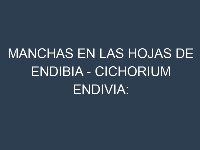 Manchas en las hojas de Endibia – Cichorium endivia: Identificación, Causas y Estrategias de Control Efectivo