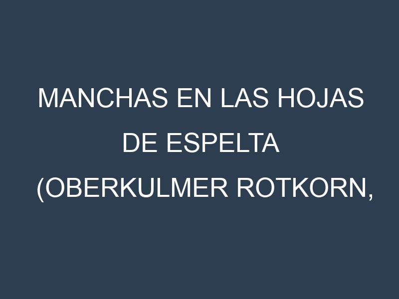 Manchas en las hojas de Espelta (Oberkulmer Rotkorn, Franckenkorn, Zorro, Schwabenkorn, Cosmic): Identificación, Causas y Estrategias de Control Efectivo