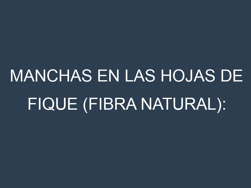 Manchas en las hojas de Fique (fibra natural): Identificación, Causas y Estrategias de Control Efectivo