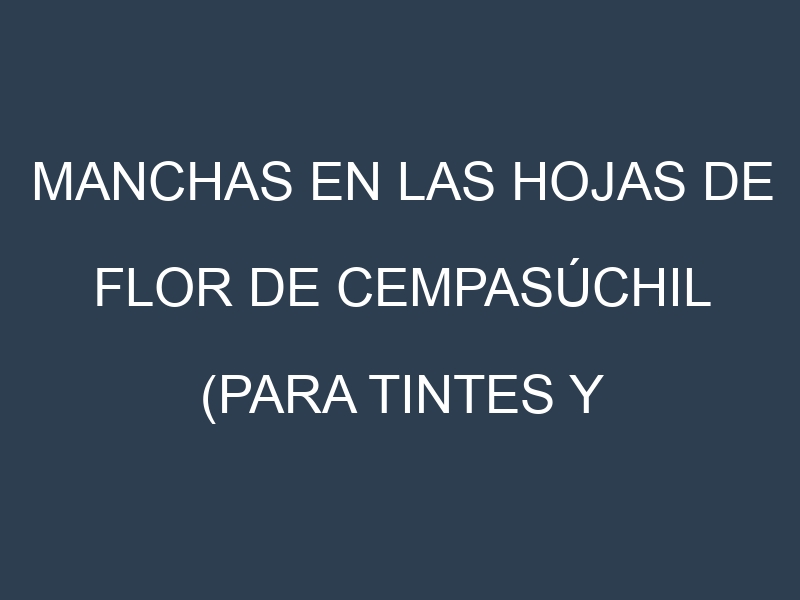 Manchas en las hojas de Flor de cempasúchil (para tintes y ornamental): Identificación, Causas y Estrategias de Control Efectivo
