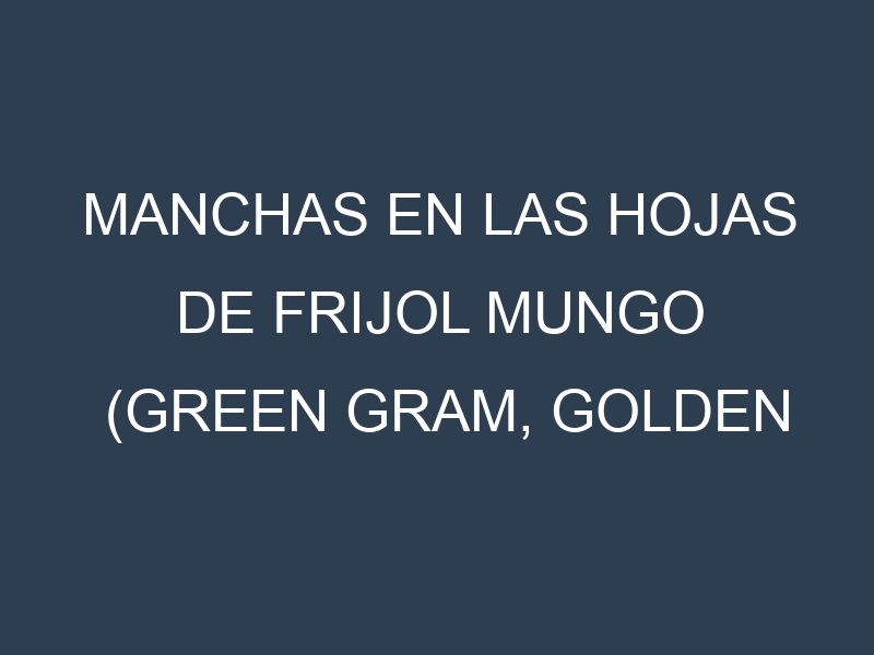 Manchas en las hojas de Frijol mungo (Green Gram, Golden Gram, Jade Green, Berken, Chinese Mung): Identificación, Causas y Estrategias de Control Efectivo