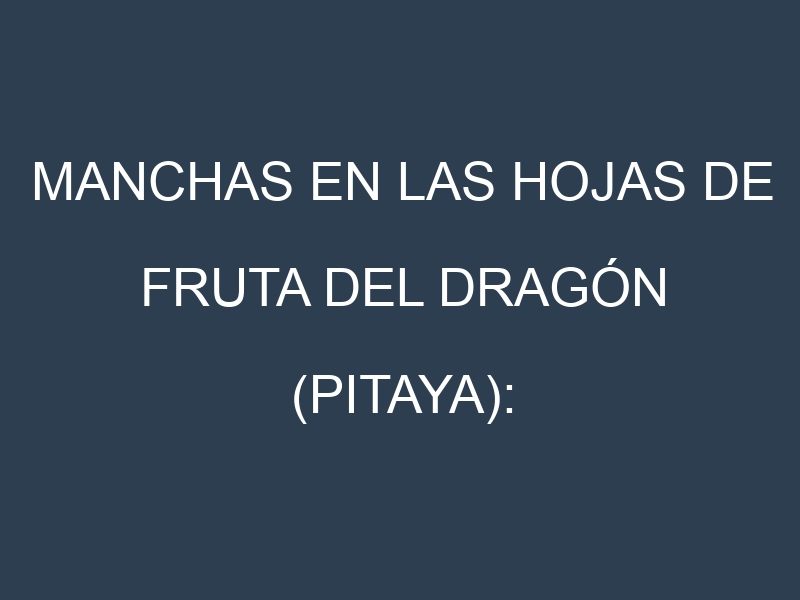 Manchas en las hojas de Fruta del dragón (pitaya): Identificación, Causas y Estrategias de Control Efectivo
