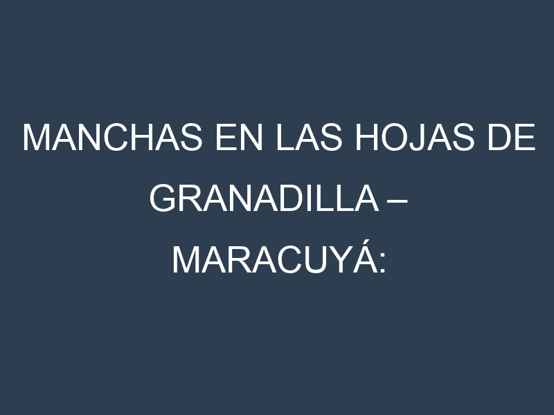 Manchas en las hojas de Granadilla – Maracuyá: Identificación, Causas y Estrategias de Control Efectivo