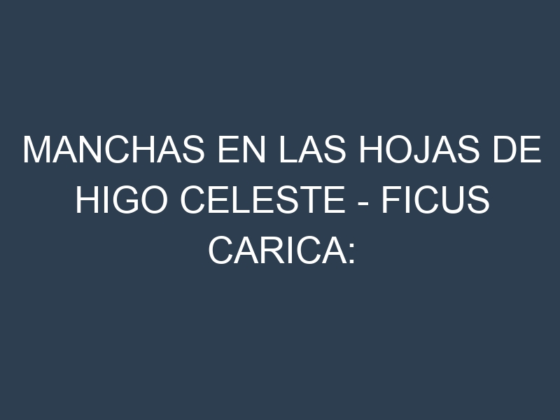 Manchas en las hojas de Higo Celeste – Ficus carica: Identificación, Causas y Estrategias de Control Efectivo