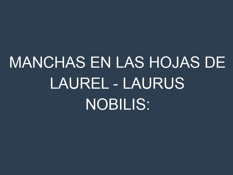 Manchas en las hojas de Laurel – Laurus nobilis: Identificación, Causas y Estrategias de Control Efectivo