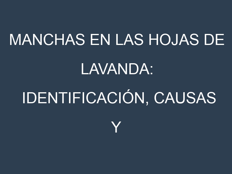 Manchas en las hojas de Lavanda: Identificación, Causas y Estrategias de Control Efectivo