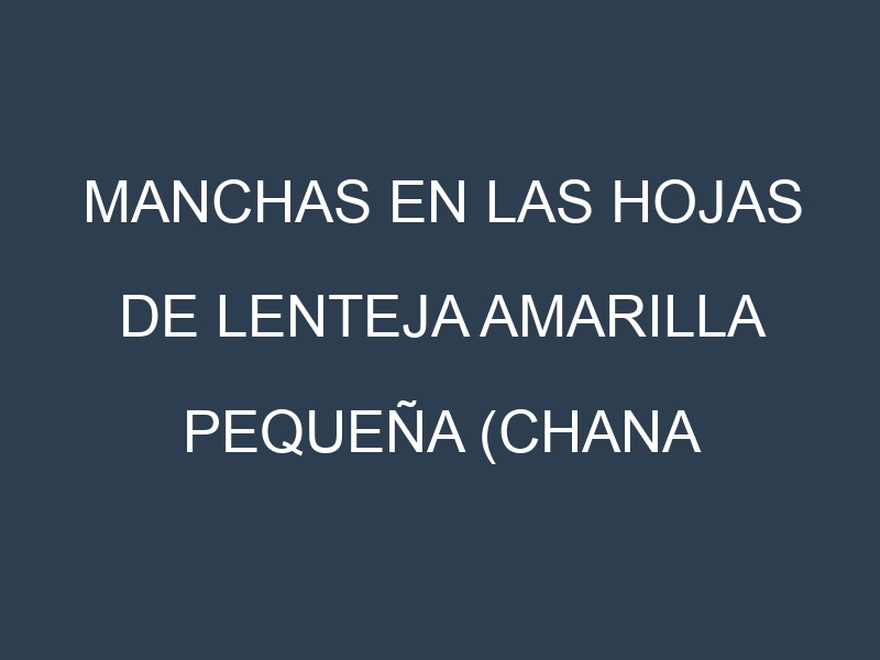 Manchas en las hojas de Lenteja amarilla pequeña (Chana Dal, Moong Dal, Yellow Masoor, Laird, Petite Golden): Identificación, Causas y Estrategias de Control Efectivo