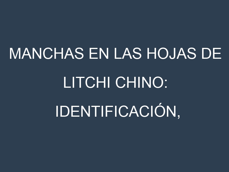 Manchas en las hojas de Litchi chino: Identificación, Causas y Estrategias de Control Efectivo