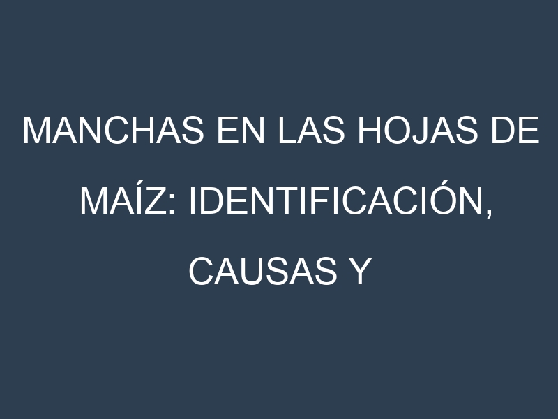 Manchas en las hojas de Maíz: Identificación, Causas y Estrategias de Control Efectivo