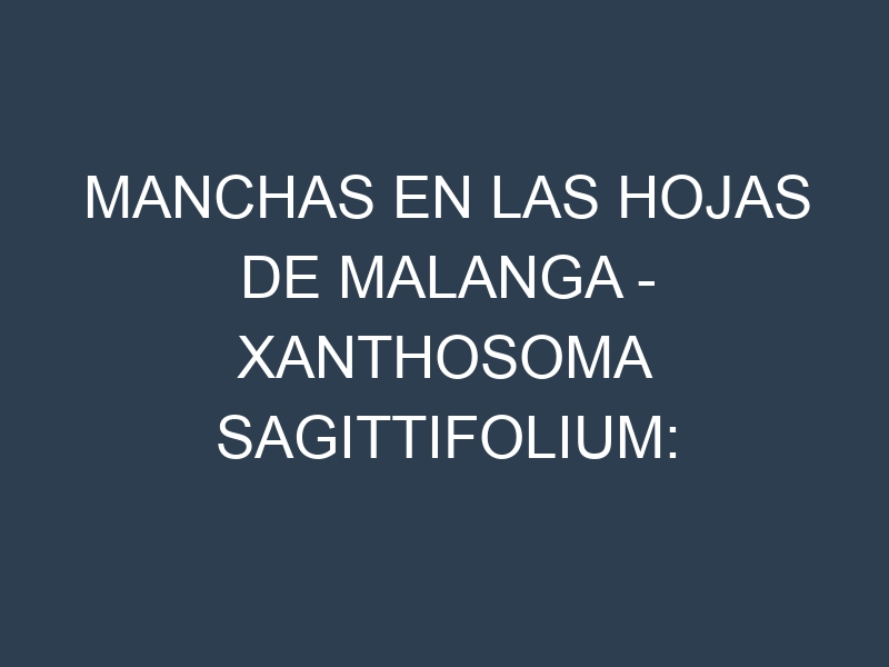 Manchas en las hojas de Malanga – Xanthosoma sagittifolium: Identificación, Causas y Estrategias de Control Efectivo