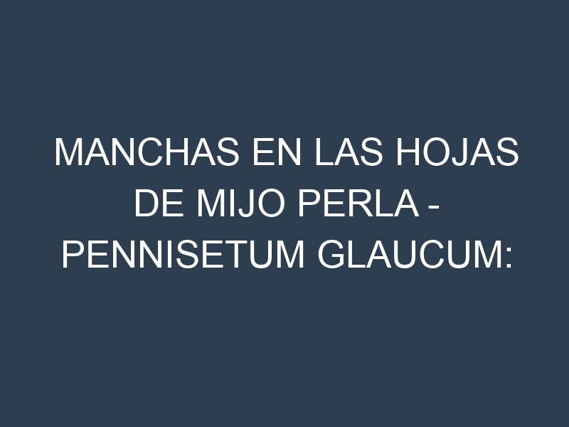 Manchas en las hojas de Mijo perla – Pennisetum glaucum: Identificación, Causas y Estrategias de Control Efectivo
