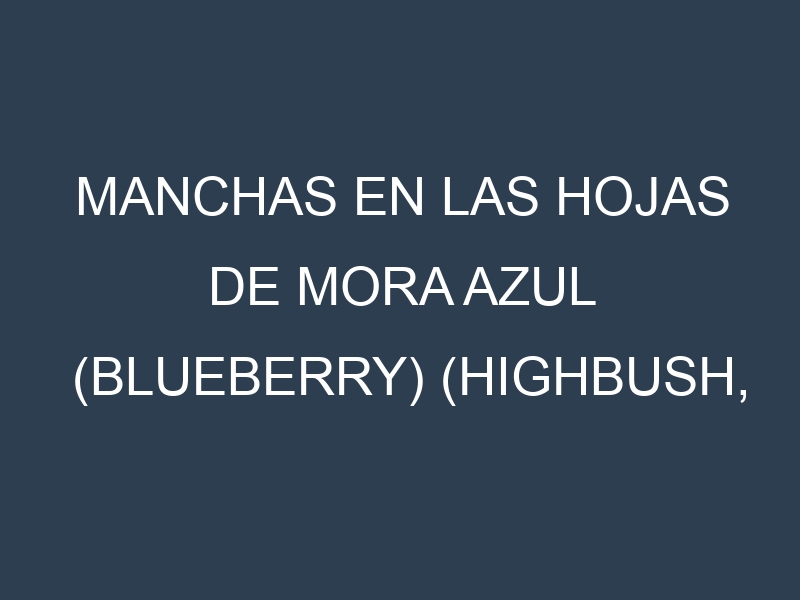 Manchas en las hojas de Mora azul (blueberry) (Highbush, Lowbush, Southern Highbush, Rabbiteye, Half-high): Identificación, Causas y Estrategias de Control Efectivo