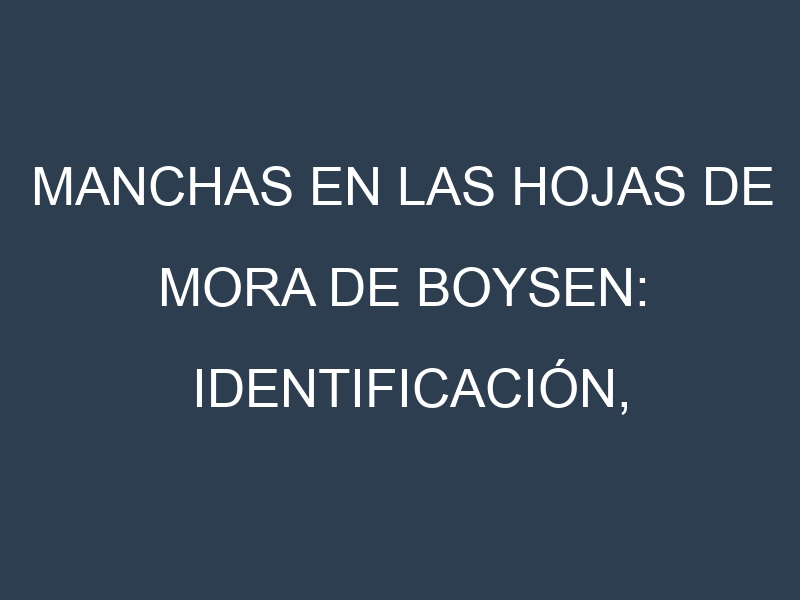 Manchas en las hojas de Mora de Boysen: Identificación, Causas y Estrategias de Control Efectivo