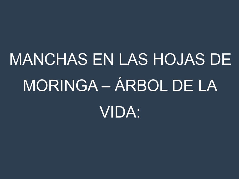 Manchas en las hojas de Moringa – Árbol de la vida: Identificación, Causas y Estrategias de Control Efectivo