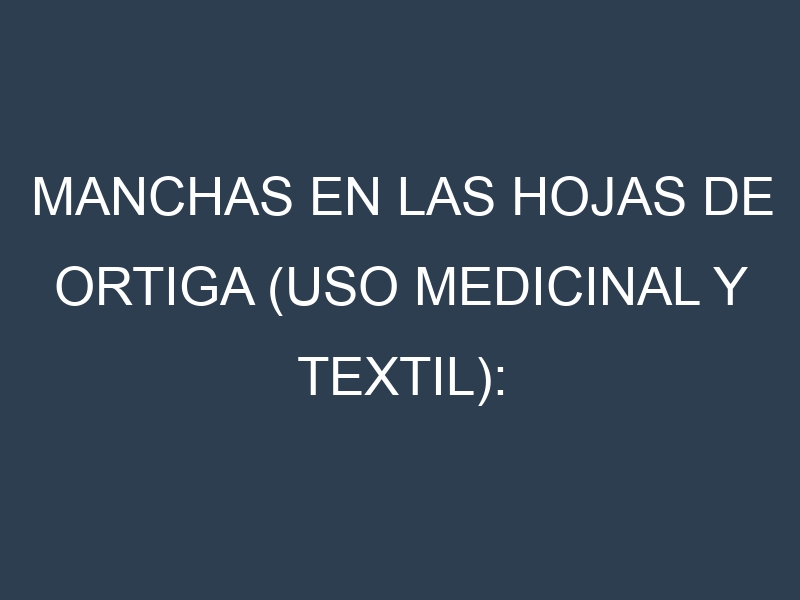 Manchas en las hojas de Ortiga (uso medicinal y textil): Identificación, Causas y Estrategias de Control Efectivo