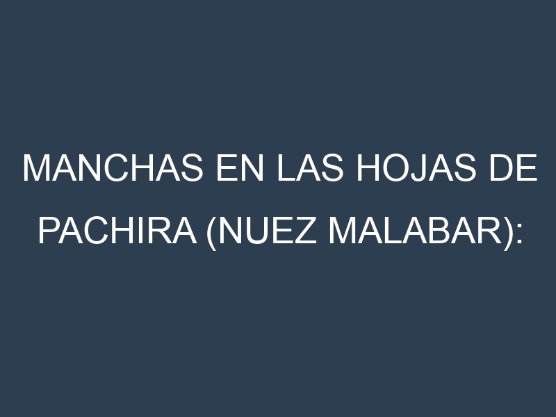 Manchas en las hojas de Pachira (nuez malabar): Identificación, Causas y Estrategias de Control Efectivo