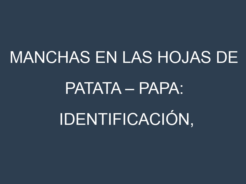 Manchas en las hojas de Patata – Papa: Identificación, Causas y Estrategias de Control Efectivo