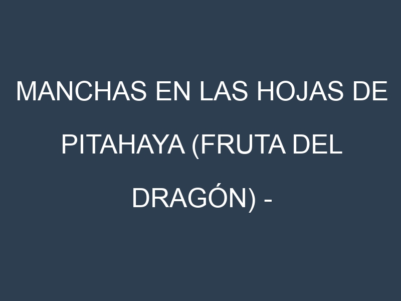 Manchas en las hojas de Pitahaya (fruta del dragón) – Hylocereus undatus: Identificación, Causas y Estrategias de Control Efectivo
