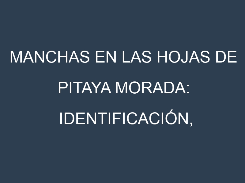 Manchas en las hojas de Pitaya morada: Identificación, Causas y Estrategias de Control Efectivo