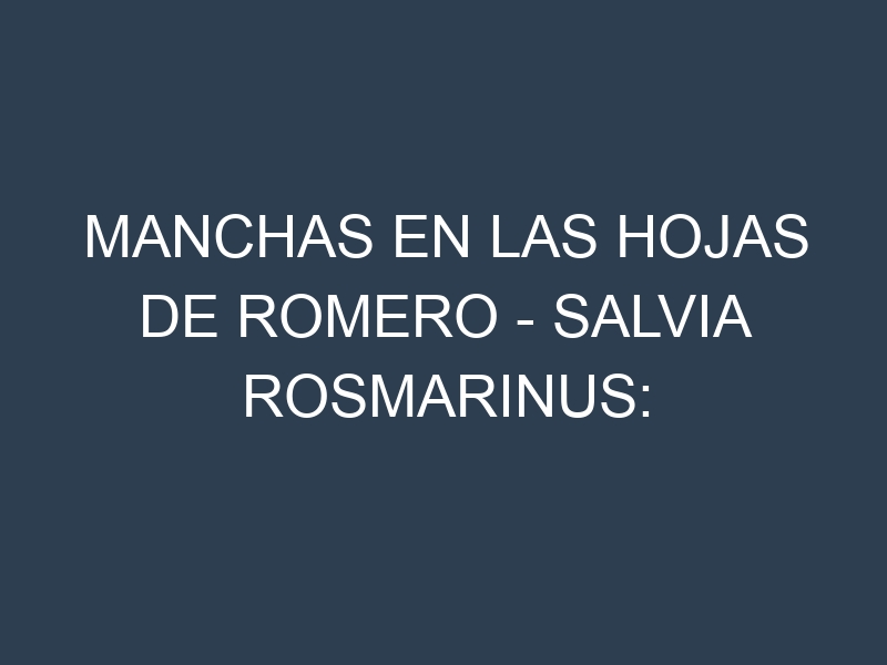 Manchas en las hojas de Romero – Salvia rosmarinus: Identificación, Causas y Estrategias de Control Efectivo