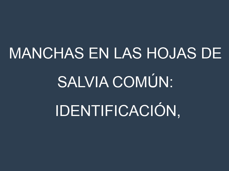 Manchas en las hojas de Salvia común: Identificación, Causas y Estrategias de Control Efectivo
