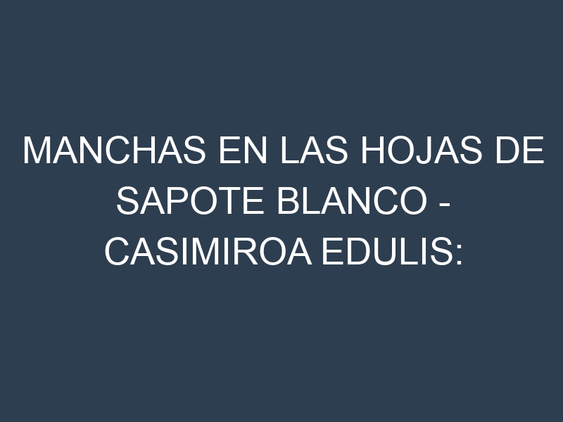 Manchas en las hojas de Sapote Blanco – Casimiroa edulis: Identificación, Causas y Estrategias de Control Efectivo
